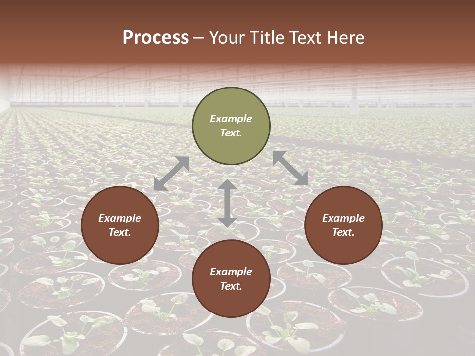 Conservatory Controlled Dutch PowerPoint Template