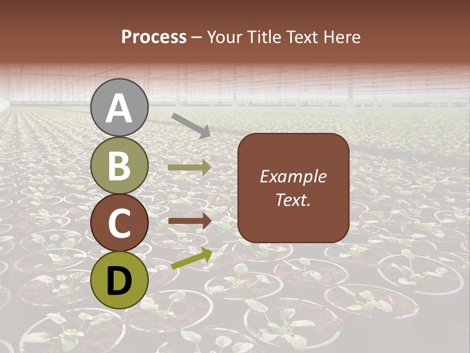 Conservatory Controlled Dutch PowerPoint Template