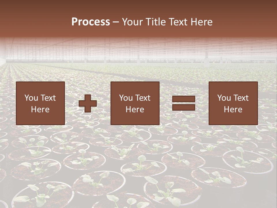 Conservatory Controlled Dutch PowerPoint Template