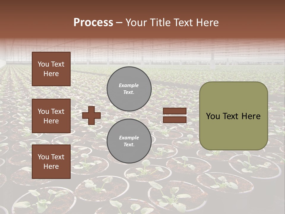 Conservatory Controlled Dutch PowerPoint Template