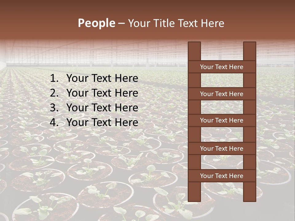Conservatory Controlled Dutch PowerPoint Template