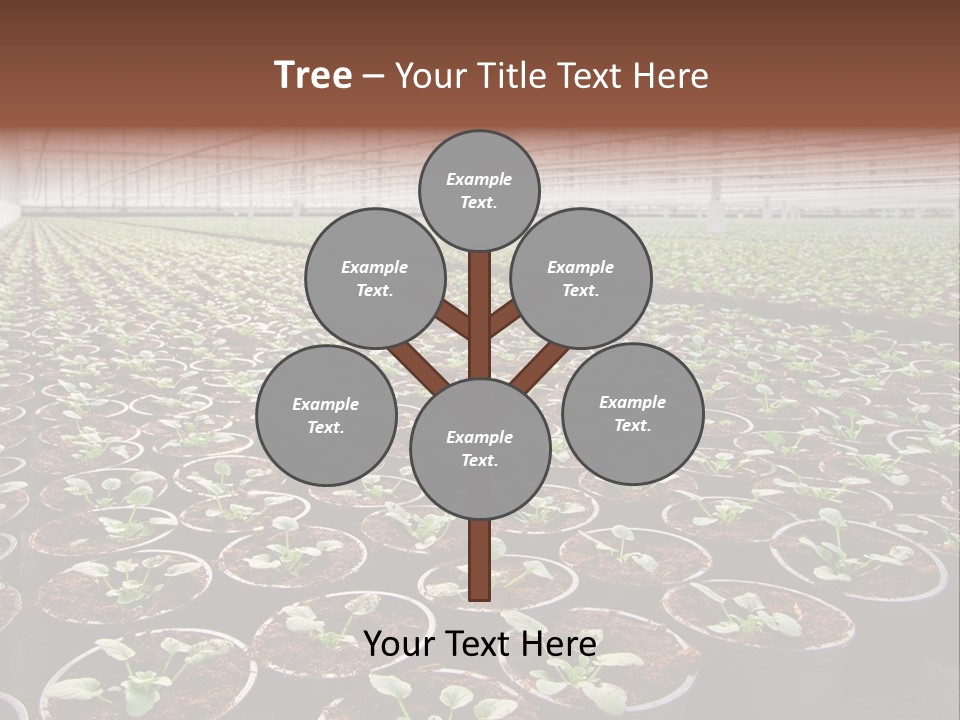 Conservatory Controlled Dutch PowerPoint Template