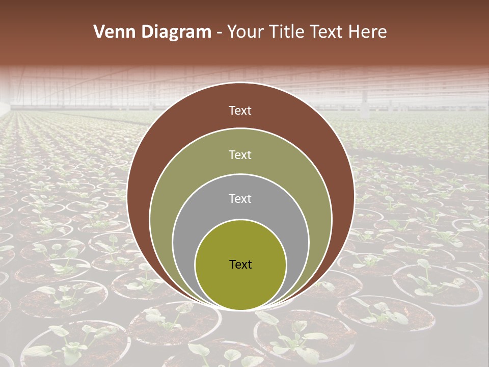 Conservatory Controlled Dutch PowerPoint Template