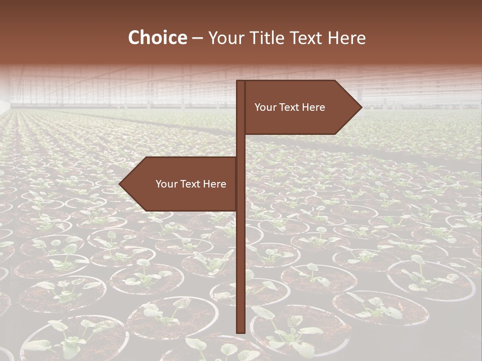 Conservatory Controlled Dutch PowerPoint Template