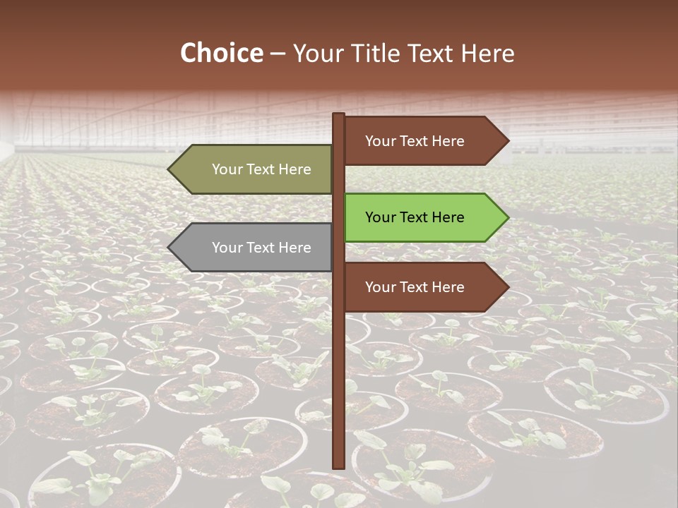 Conservatory Controlled Dutch PowerPoint Template