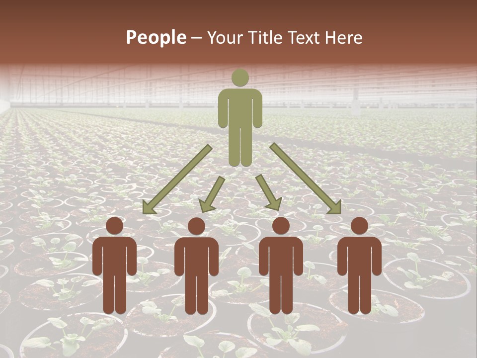 Conservatory Controlled Dutch PowerPoint Template