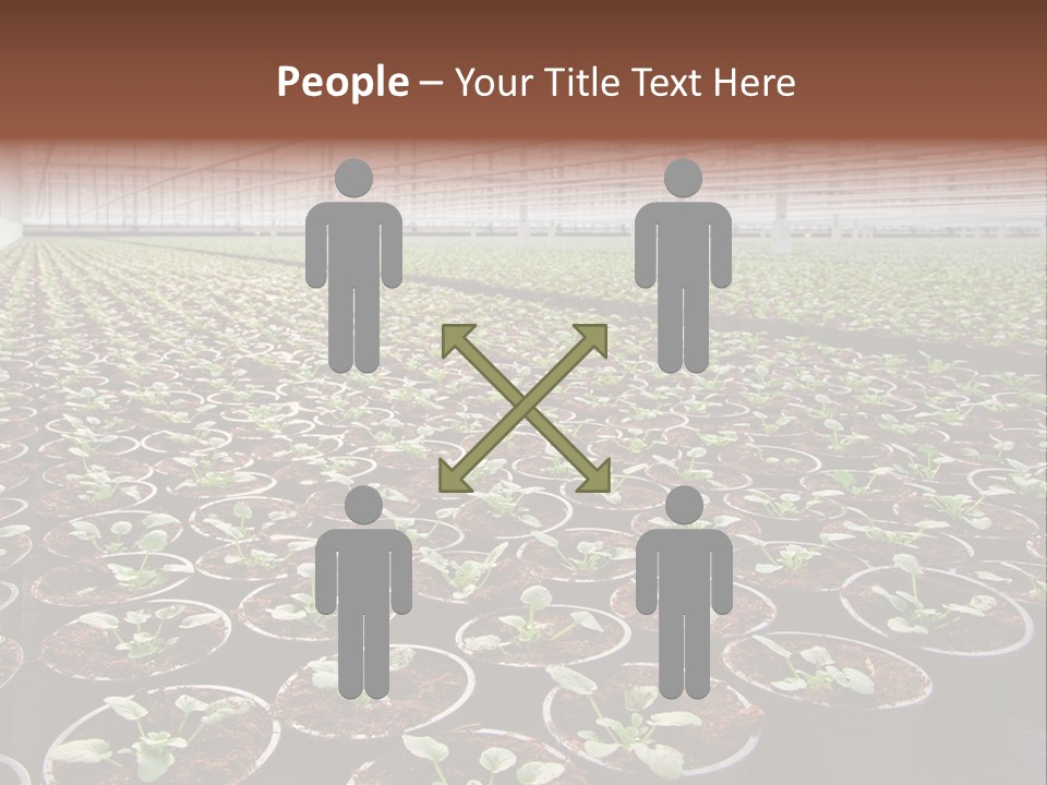 Conservatory Controlled Dutch PowerPoint Template