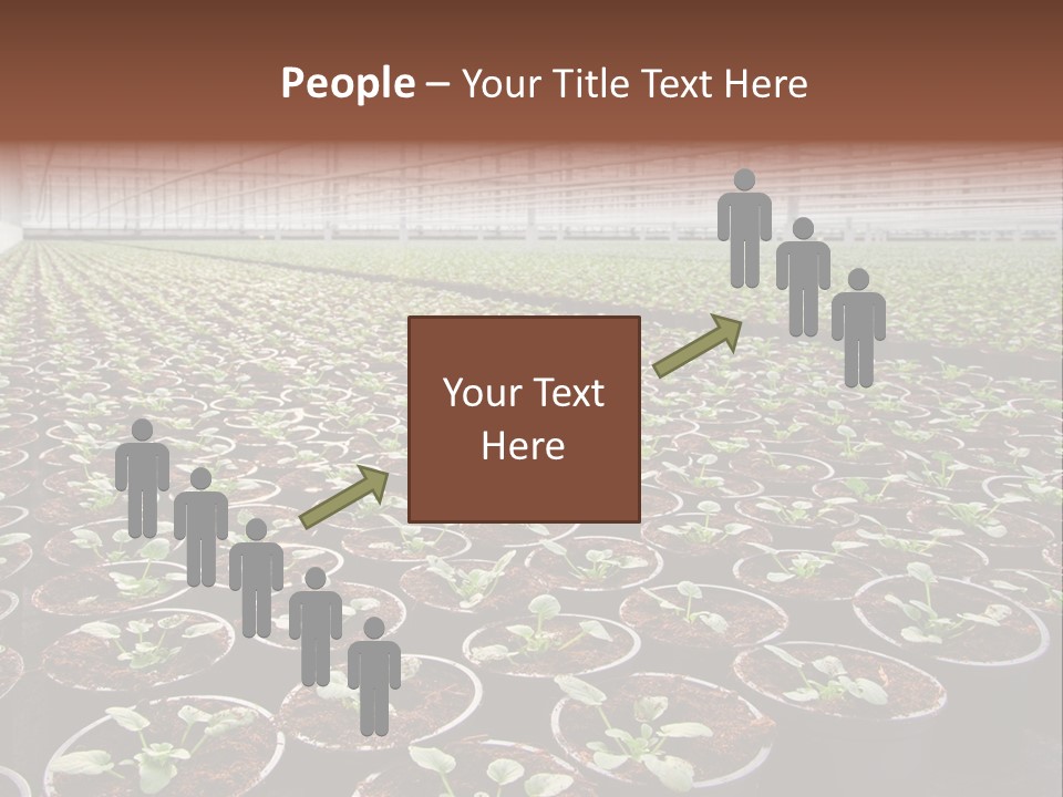 Conservatory Controlled Dutch PowerPoint Template