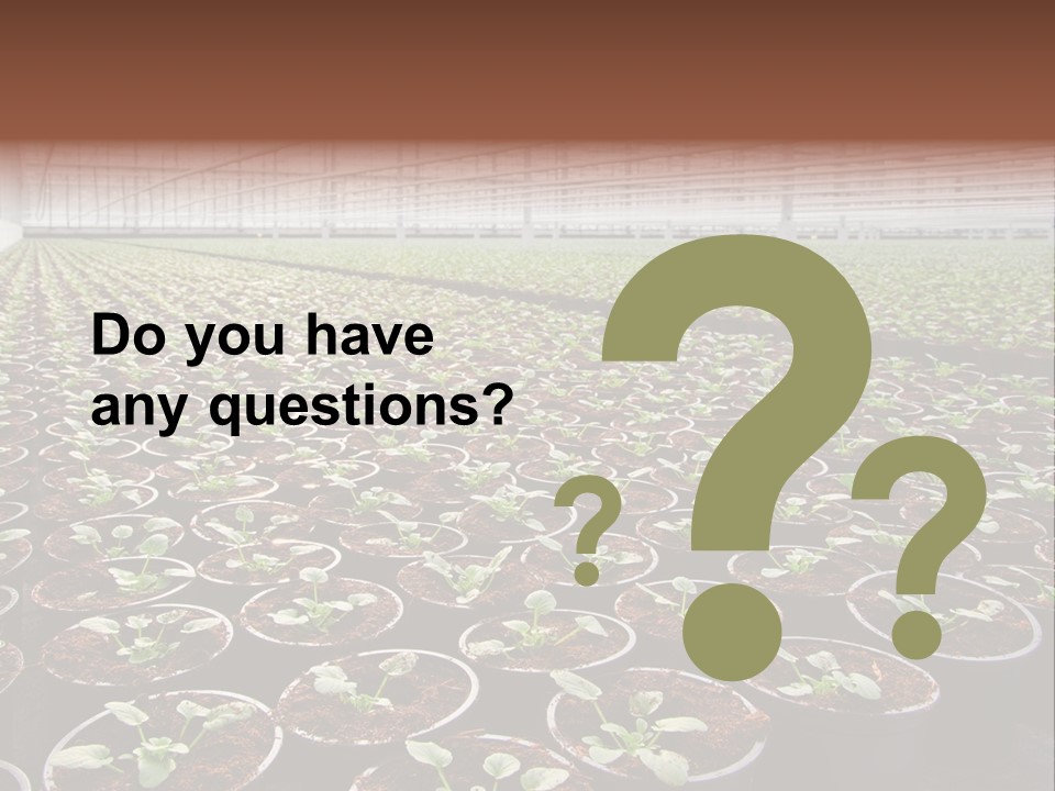 Conservatory Controlled Dutch PowerPoint Template