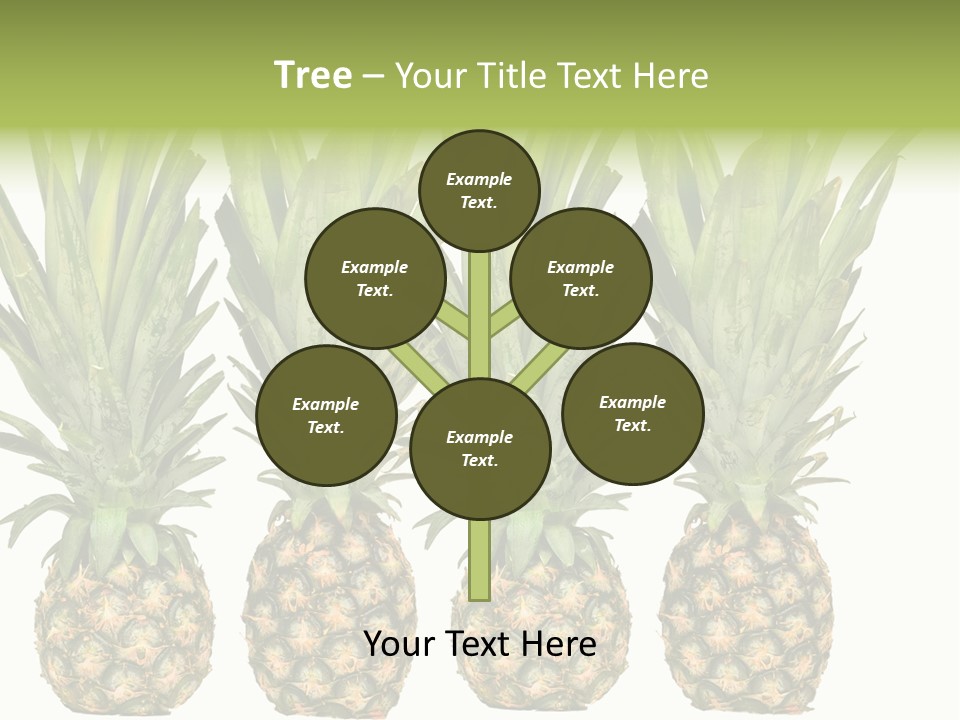 Green Wide Result PowerPoint Template