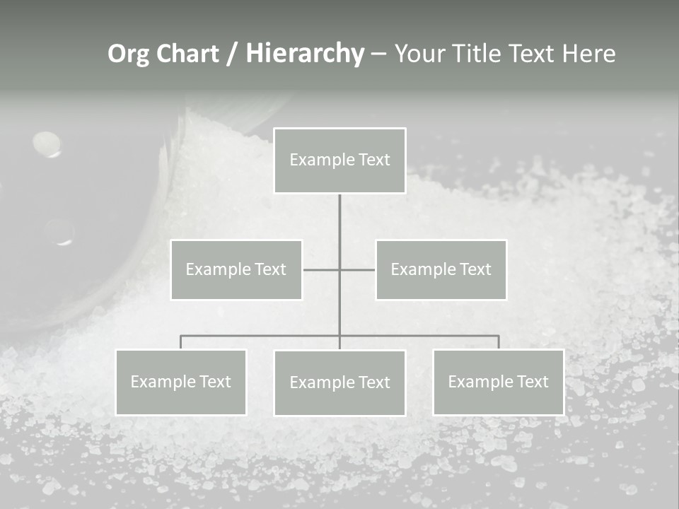 Bottle Sodium Care PowerPoint Template