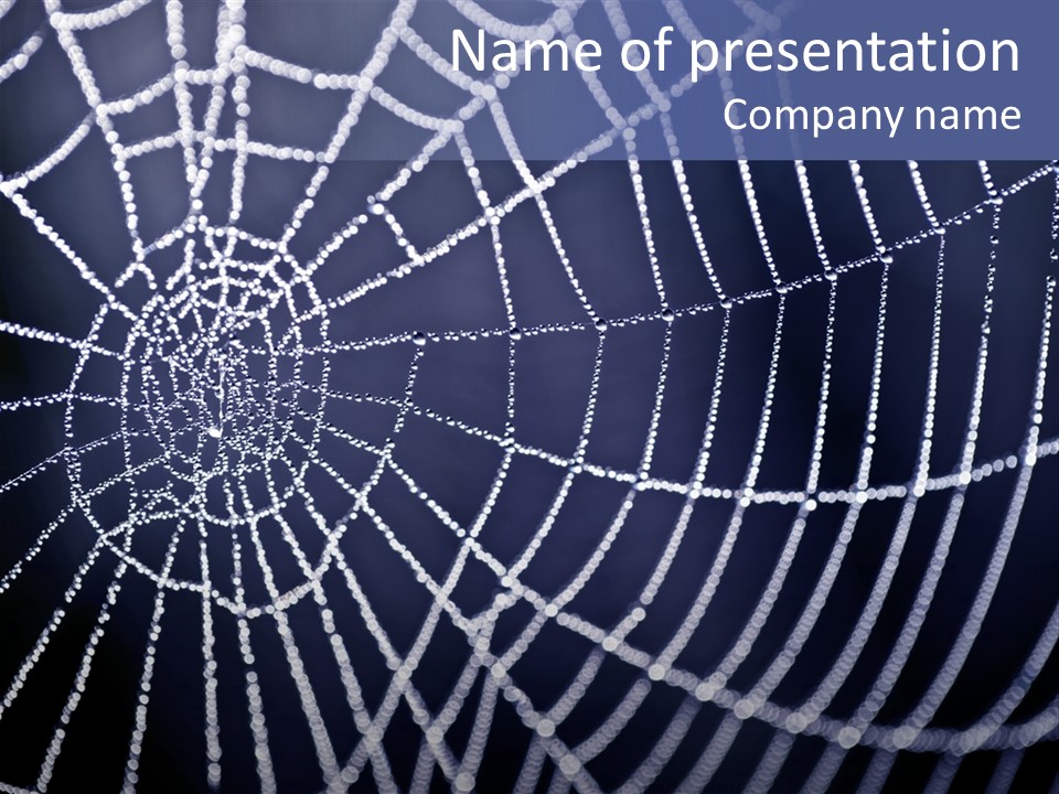 A Spider Web With Water Drops On It PowerPoint Template