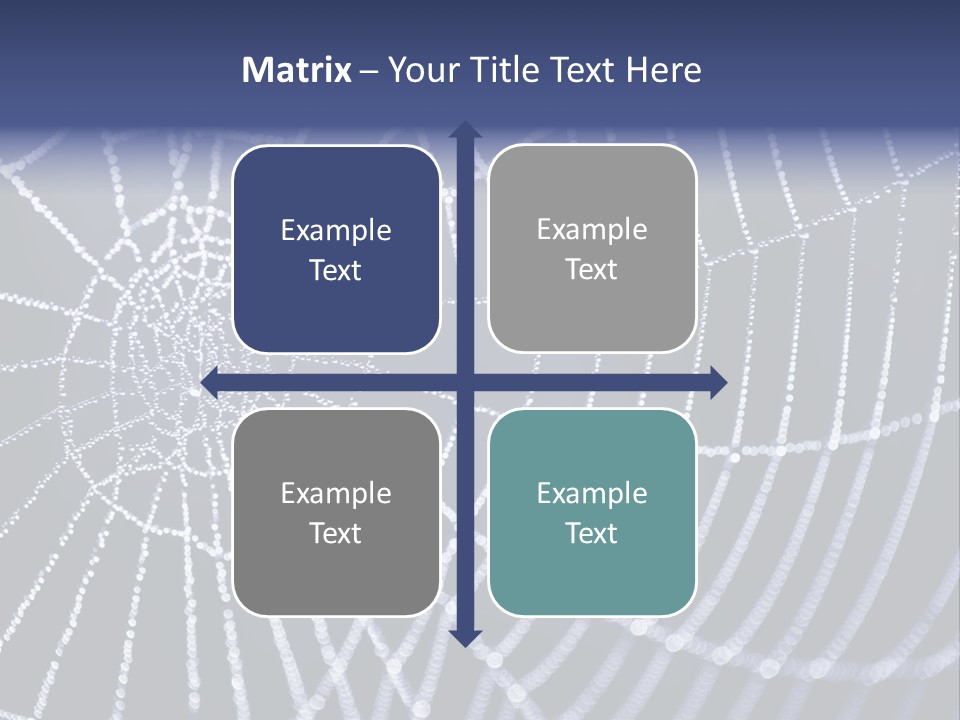 A Spider Web With Water Drops On It PowerPoint Template