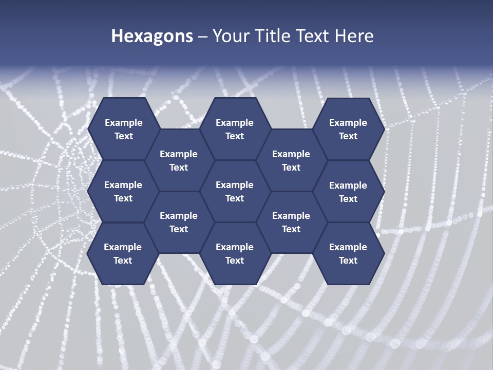 A Spider Web With Water Drops On It PowerPoint Template