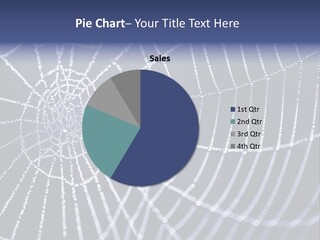 A Spider Web With Water Drops On It PowerPoint Template