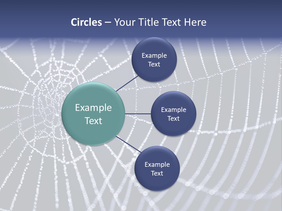 A Spider Web With Water Drops On It PowerPoint Template