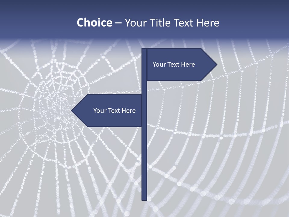 A Spider Web With Water Drops On It PowerPoint Template