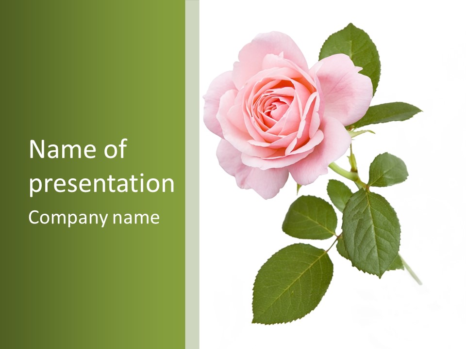 Nature Soft Cream PowerPoint Template