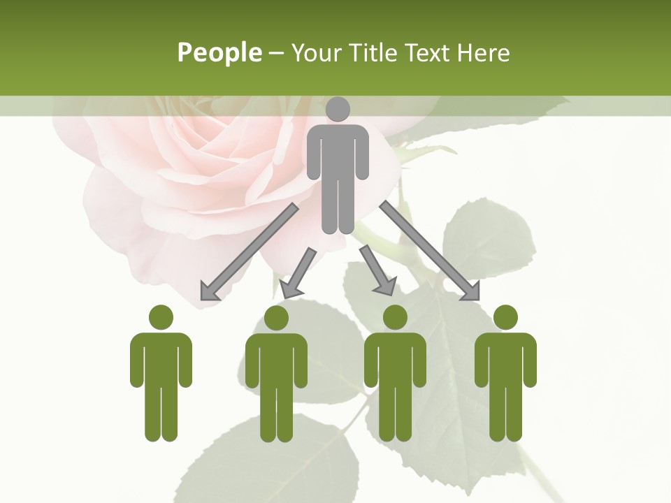 Nature Soft Cream PowerPoint Template