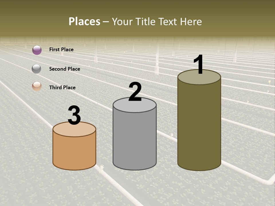 A Large Greenhouse Filled With Lots Of Plants PowerPoint Template