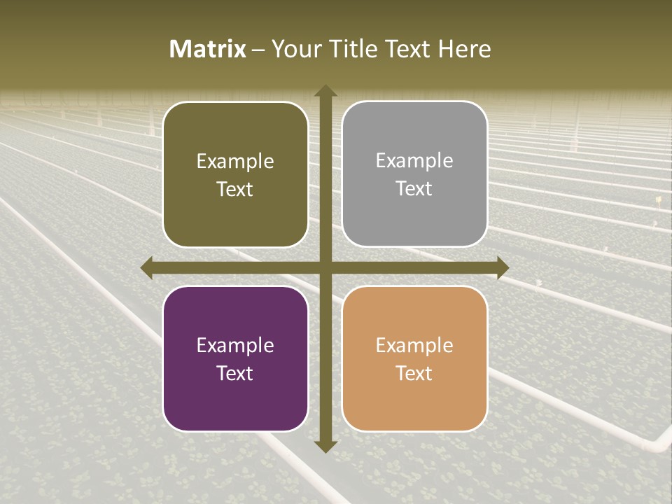 A Large Greenhouse Filled With Lots Of Plants PowerPoint Template