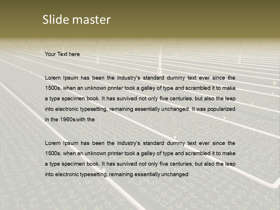 A Large Greenhouse Filled With Lots Of Plants PowerPoint Template