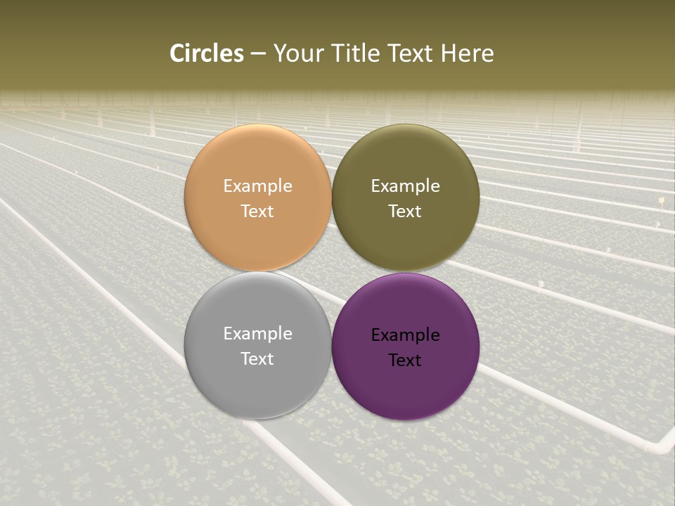 A Large Greenhouse Filled With Lots Of Plants PowerPoint Template