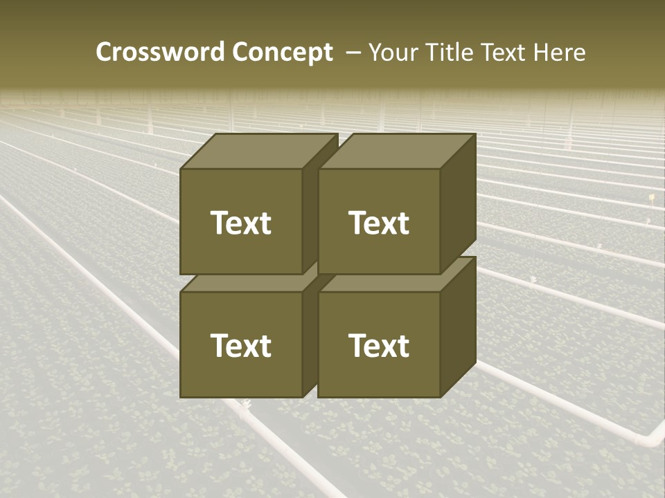 A Large Greenhouse Filled With Lots Of Plants PowerPoint Template