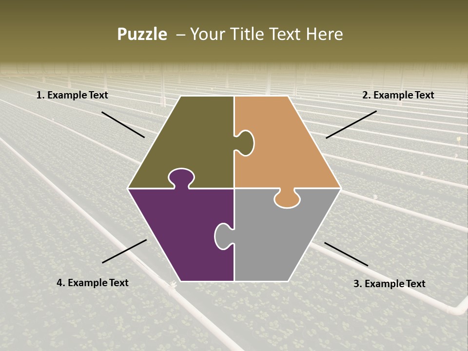 A Large Greenhouse Filled With Lots Of Plants PowerPoint Template
