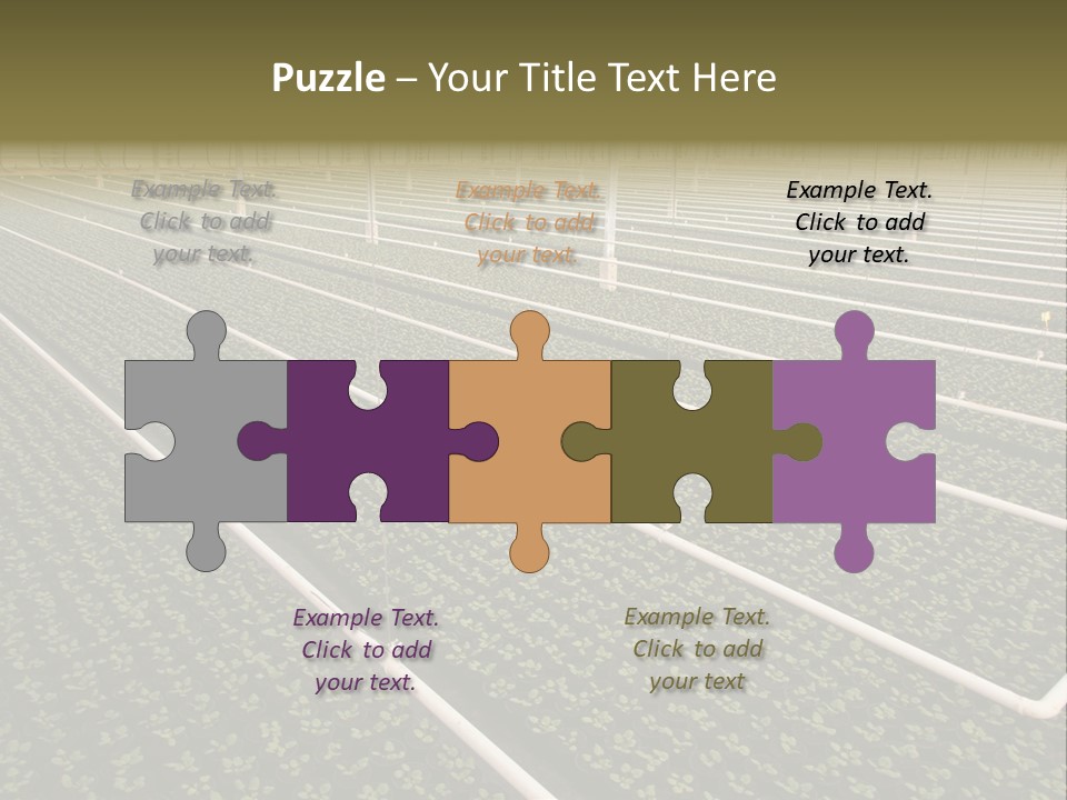 A Large Greenhouse Filled With Lots Of Plants PowerPoint Template