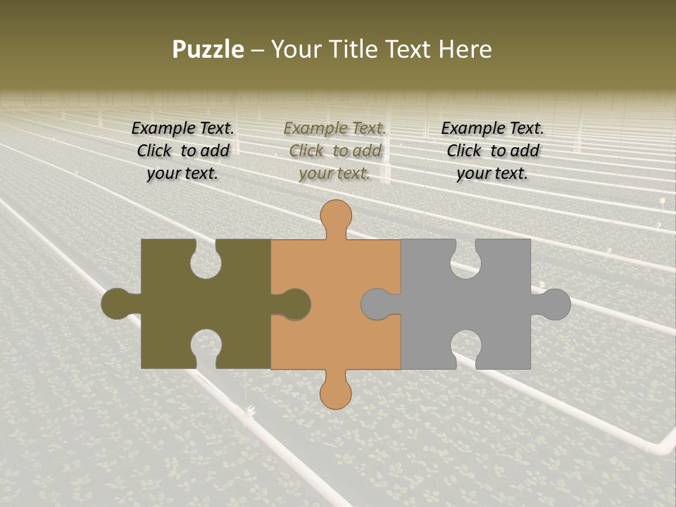 A Large Greenhouse Filled With Lots Of Plants PowerPoint Template