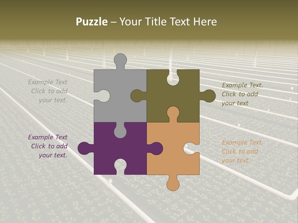 A Large Greenhouse Filled With Lots Of Plants PowerPoint Template