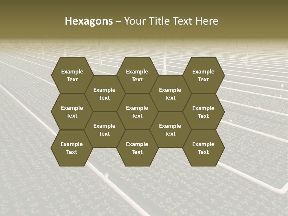 A Large Greenhouse Filled With Lots Of Plants PowerPoint Template