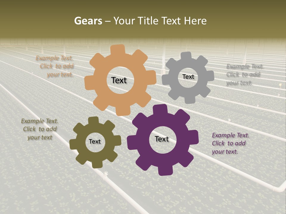 A Large Greenhouse Filled With Lots Of Plants PowerPoint Template
