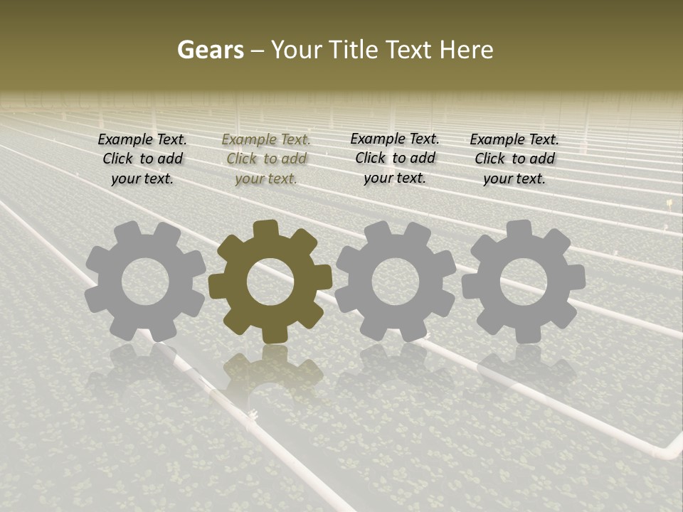 A Large Greenhouse Filled With Lots Of Plants PowerPoint Template