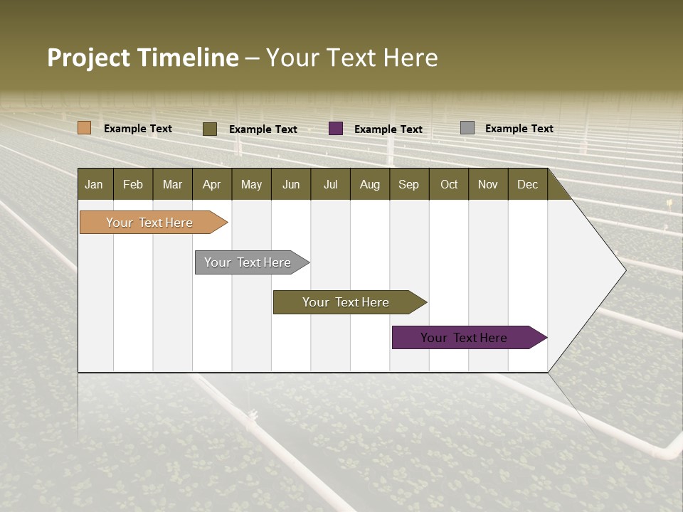 A Large Greenhouse Filled With Lots Of Plants PowerPoint Template