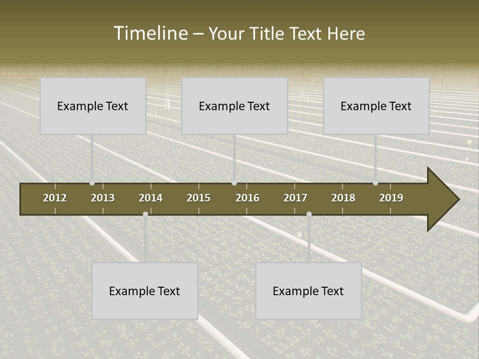A Large Greenhouse Filled With Lots Of Plants PowerPoint Template