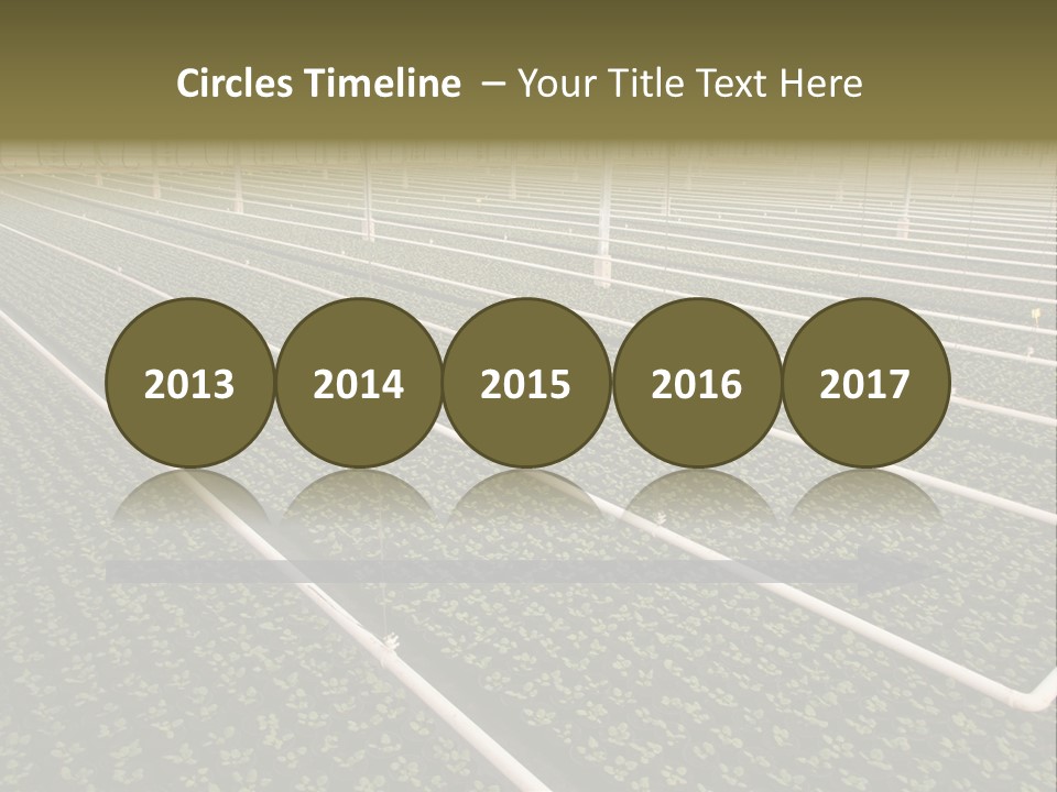 A Large Greenhouse Filled With Lots Of Plants PowerPoint Template