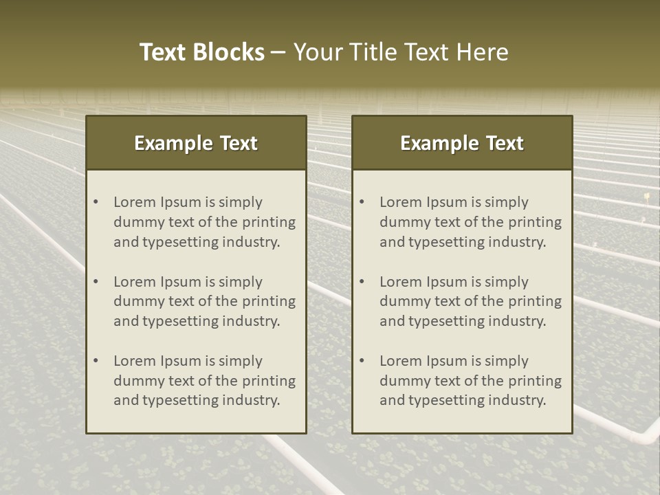 A Large Greenhouse Filled With Lots Of Plants PowerPoint Template
