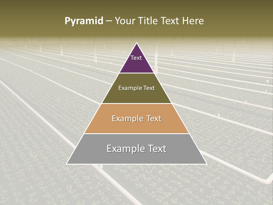 A Large Greenhouse Filled With Lots Of Plants PowerPoint Template