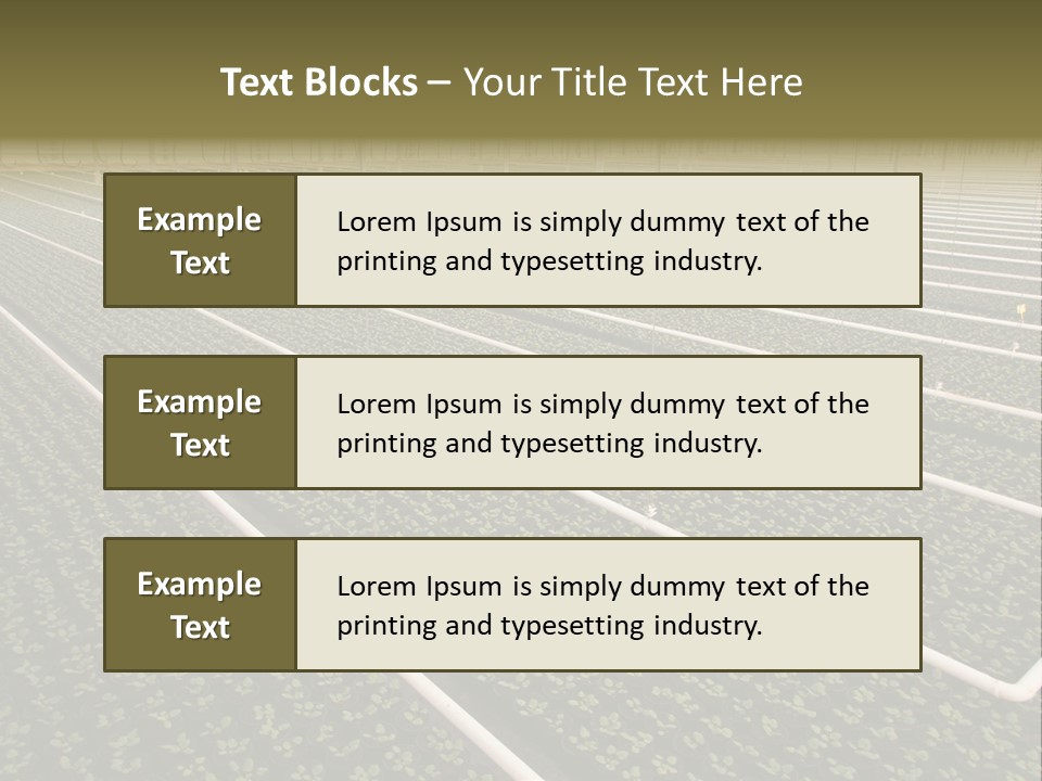 A Large Greenhouse Filled With Lots Of Plants PowerPoint Template