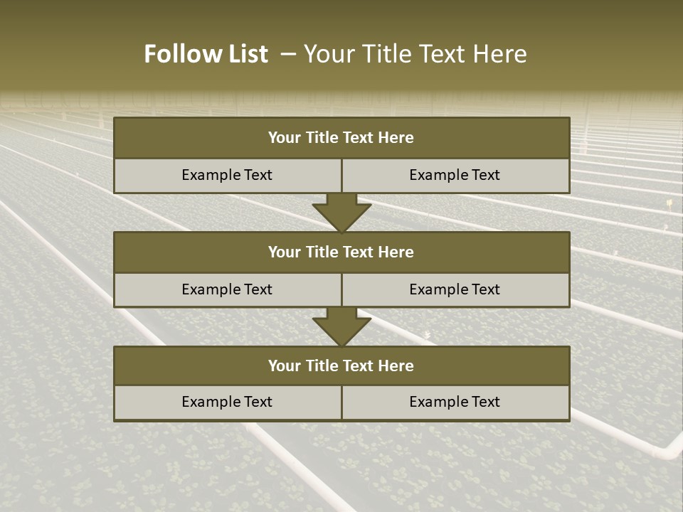 A Large Greenhouse Filled With Lots Of Plants PowerPoint Template