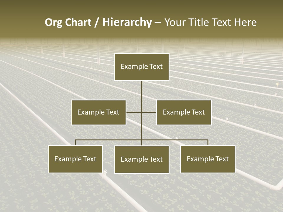 A Large Greenhouse Filled With Lots Of Plants PowerPoint Template