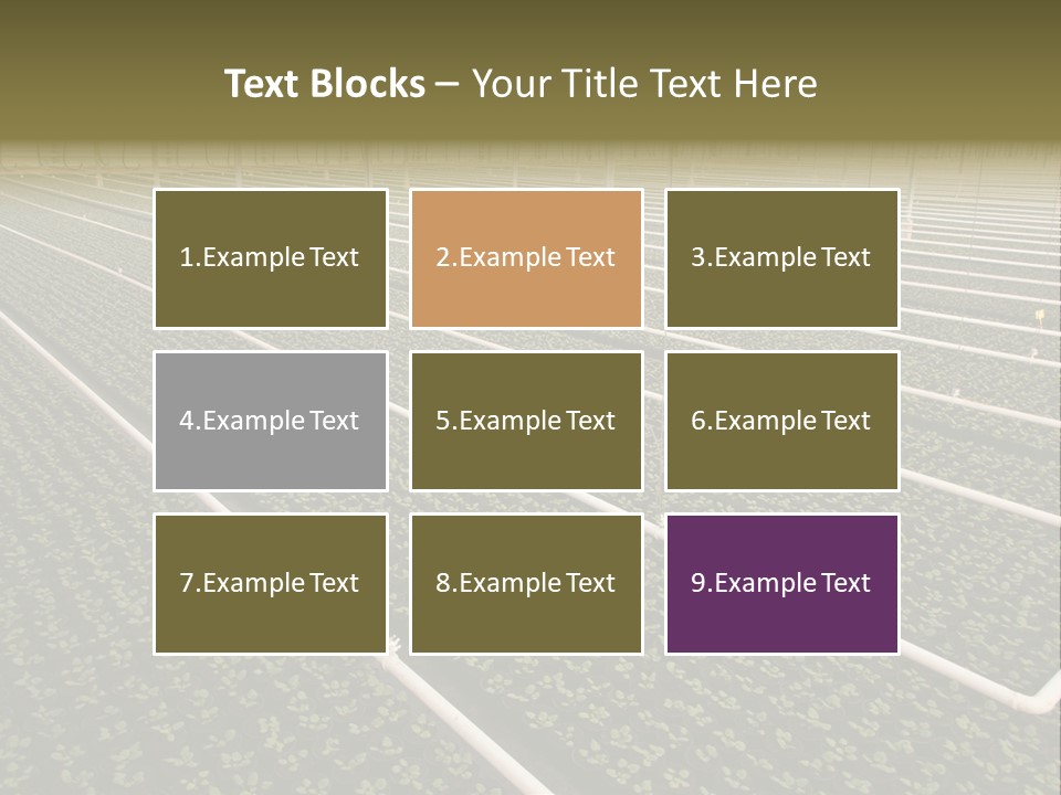A Large Greenhouse Filled With Lots Of Plants PowerPoint Template
