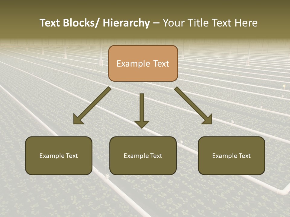A Large Greenhouse Filled With Lots Of Plants PowerPoint Template