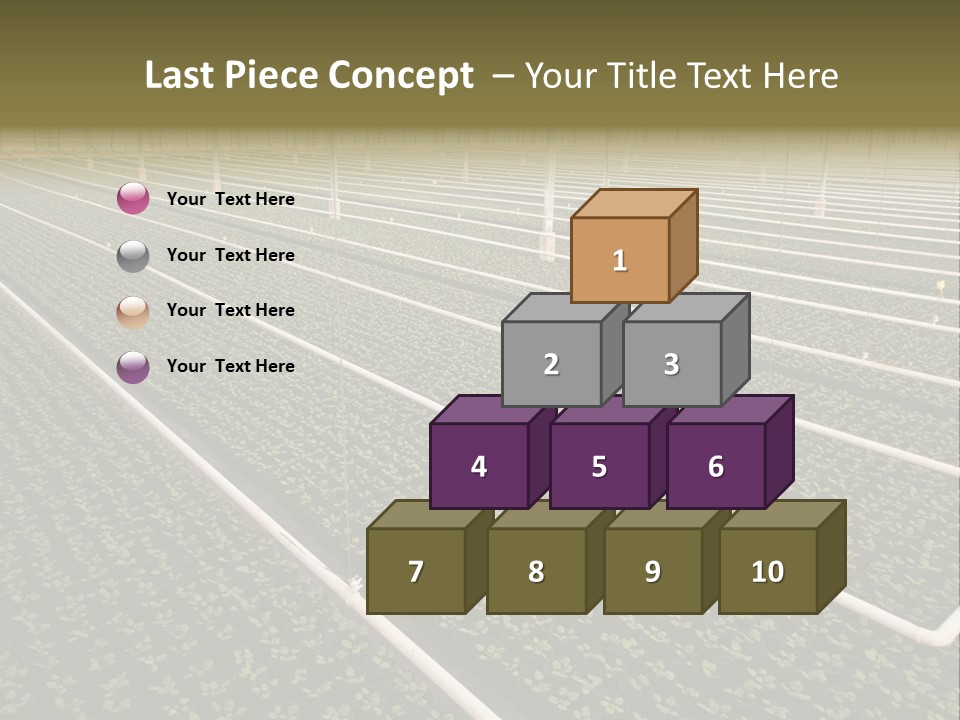 A Large Greenhouse Filled With Lots Of Plants PowerPoint Template