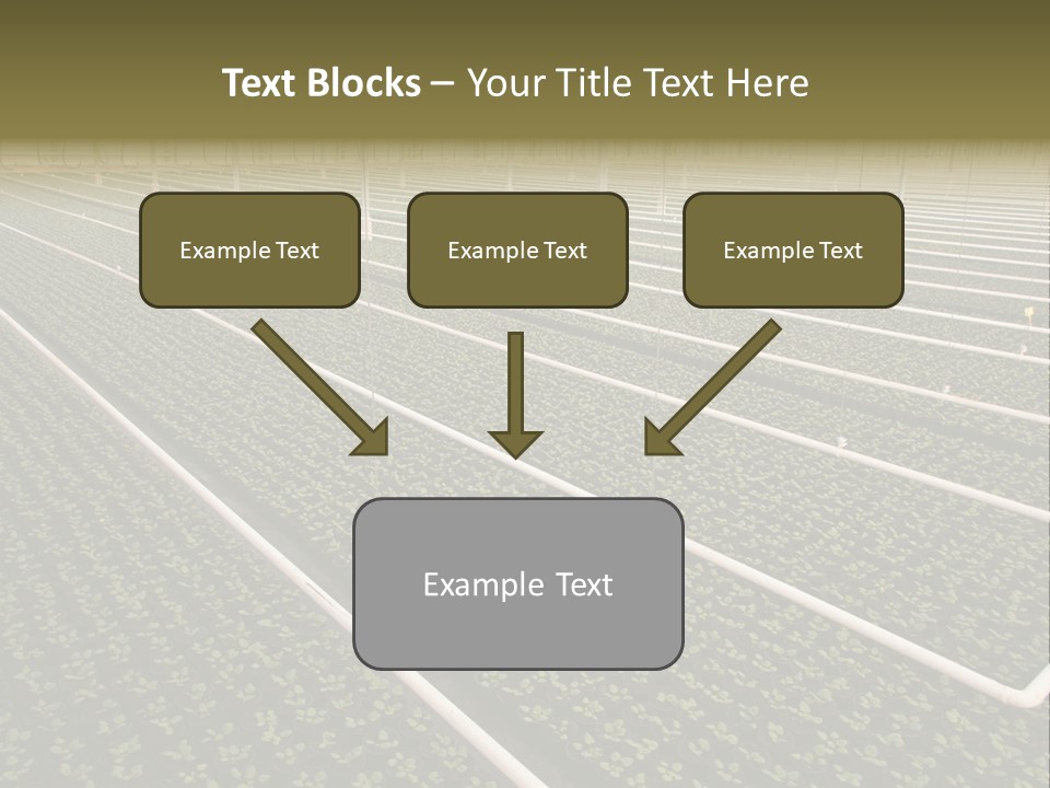 A Large Greenhouse Filled With Lots Of Plants PowerPoint Template