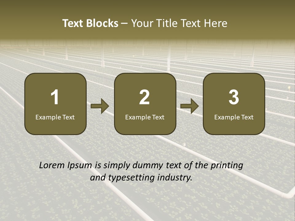 A Large Greenhouse Filled With Lots Of Plants PowerPoint Template