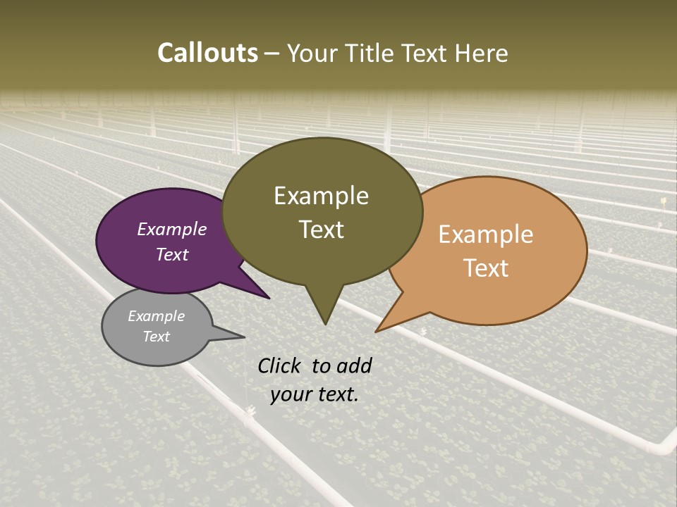 A Large Greenhouse Filled With Lots Of Plants PowerPoint Template