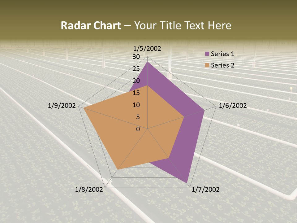 A Large Greenhouse Filled With Lots Of Plants PowerPoint Template